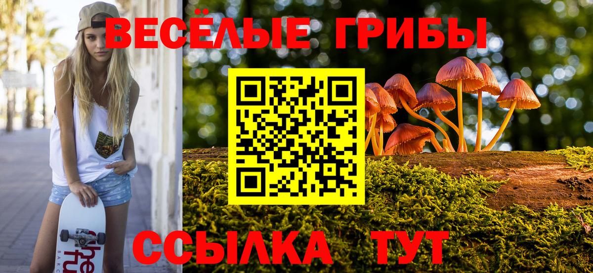 Псилоцибиновые грибы мицелий  Вход с VPN  Унеча 